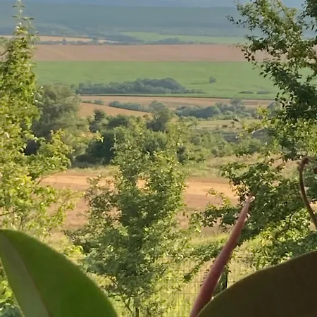 Appartamento Belvedere